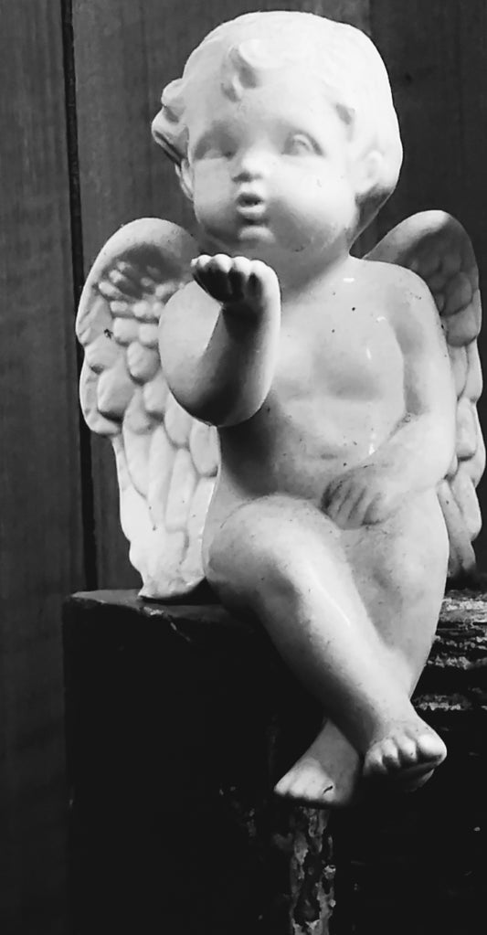 Baby Angels